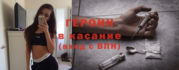 индика Снежногорск