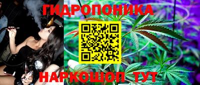 соль ск Гагарин